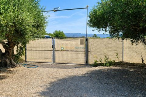 Terra a Beniganim, Valencia, Beniganim - € 49.000 | Ref: PNPT305 - foto 22